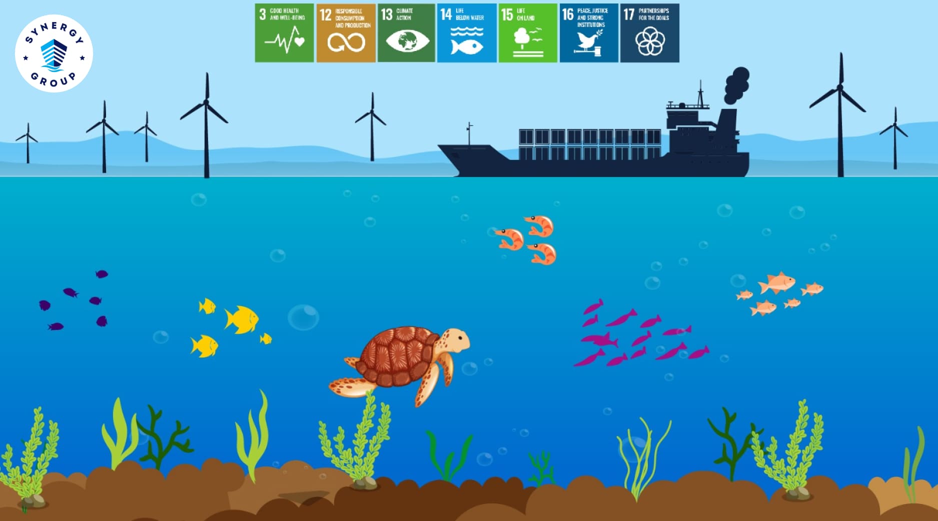 The Blue economy protecting the marine life