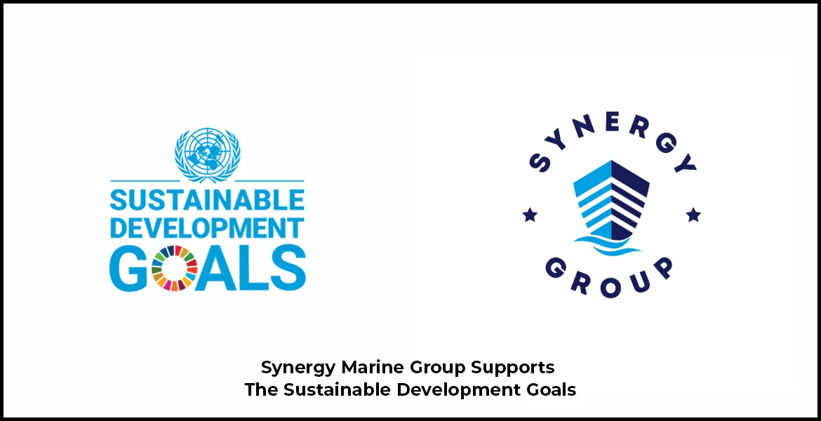 Synergy and UN Sustainability Development Goals