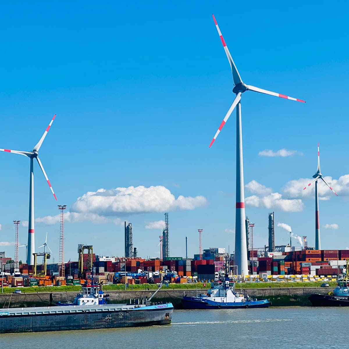 Modern wind-powered ships