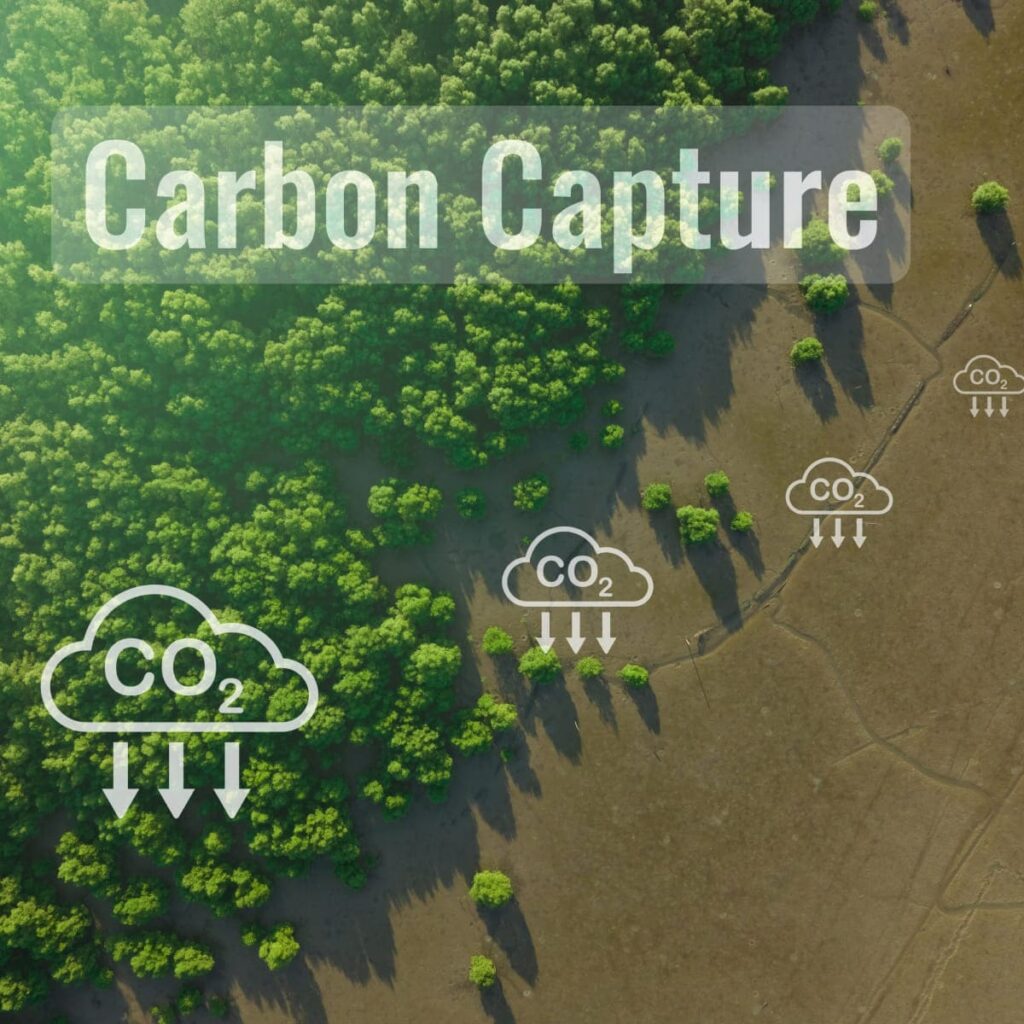 Development of Carbon Capture at Sea